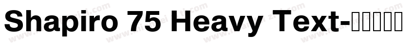 Shapiro 75 Heavy Text字体转换